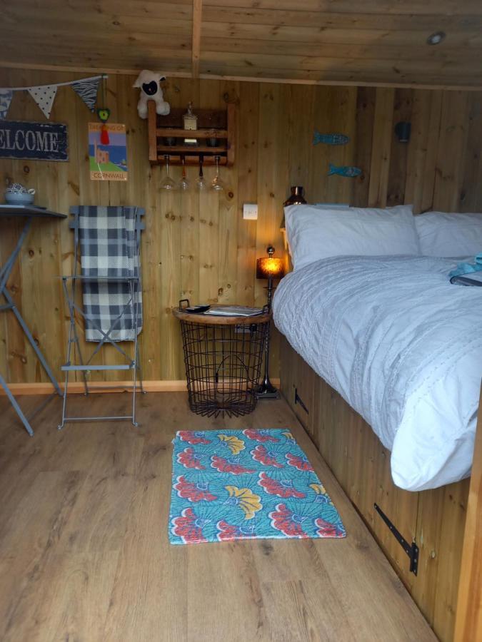 Stargazy Shepherds Hut St Ives Eksteriør billede
